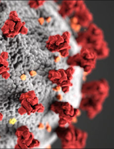 A closeup of a visualization of the COVID-19 molecule