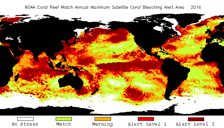 A graphic depiction of coral bleaching across Earth's oceans