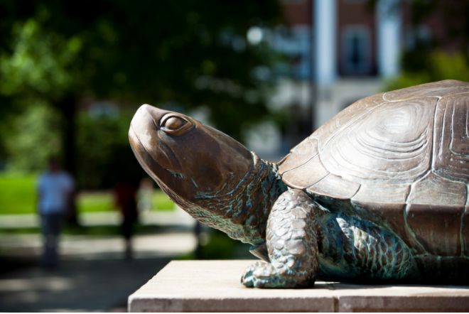 The Terrapin statue in front of McKeldin Library points its nose to the sunlight