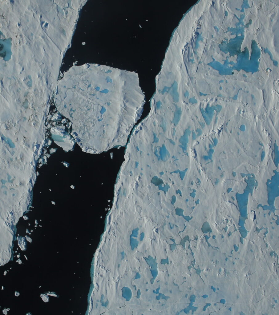Sea ice in the summer