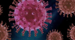 A visual depiction of the novel coronavirus