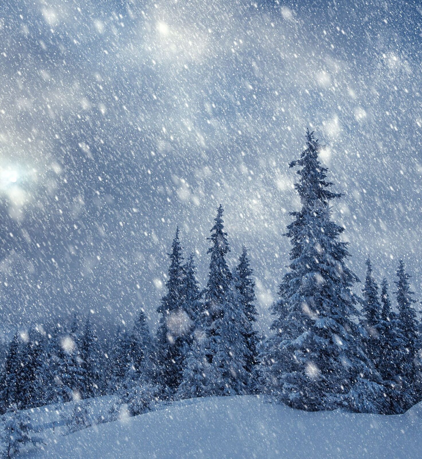 Snow falling around some pine trees