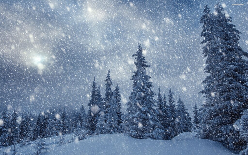 Snow falling around some pine trees