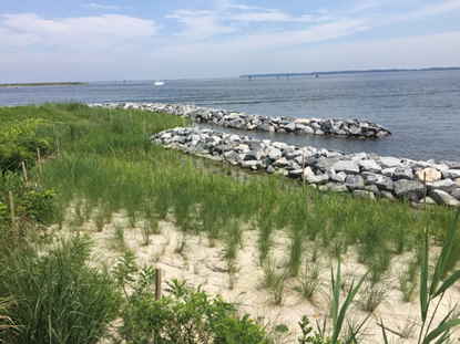 A living shoreline