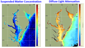 Suspended matter concentration and light attenuation are two satellite water quality products that could be used in combination with other types of data for monitoring water quality improvements and in assessments to determine attainment of water quality standards in Chesapeake Bay. EPA is leading the Chesapeake Bay Program partnership to restore the health of Chesapeake Bay.