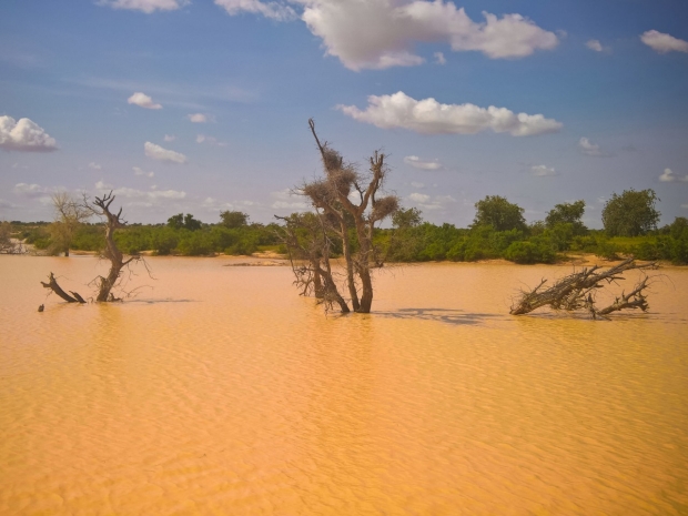 A flooded river in Niger. Photo credit: HomoCosmicos/Getty Images.