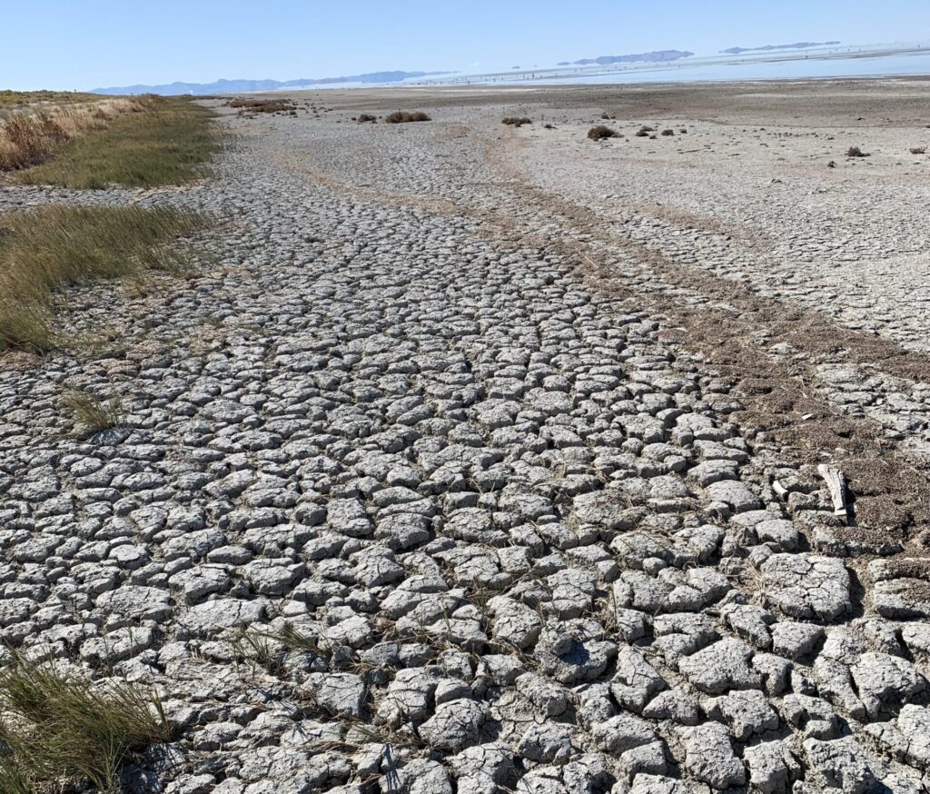 A desiccating lakebed