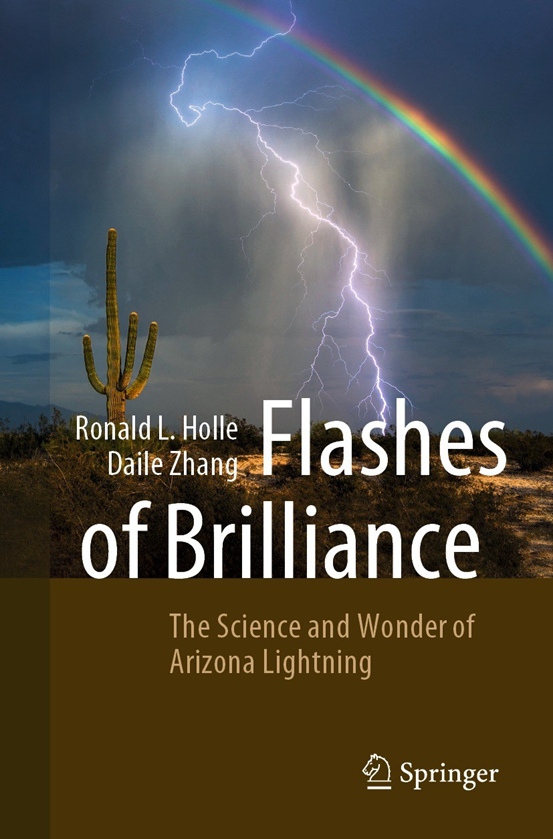 The cover of "Flashes of Brilliance"